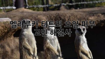 멜라루카 티트리 오일: 피부 고민 해결사?