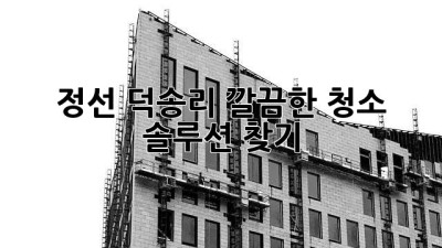 정선 덕송리, 깔끔한 청소 솔루션 찾기